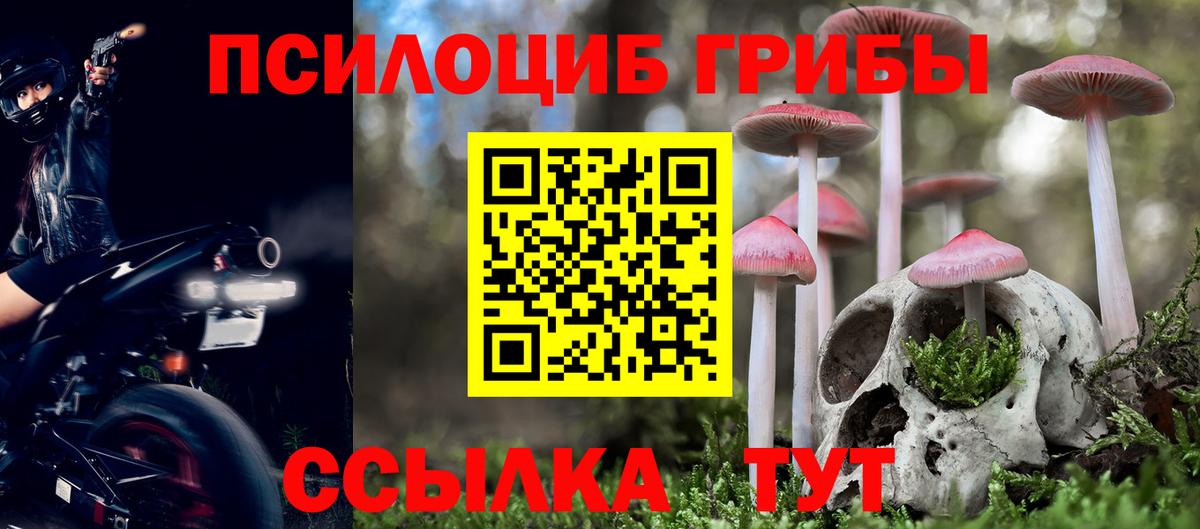 Псилоцибиновые грибы прущие грибы Реж