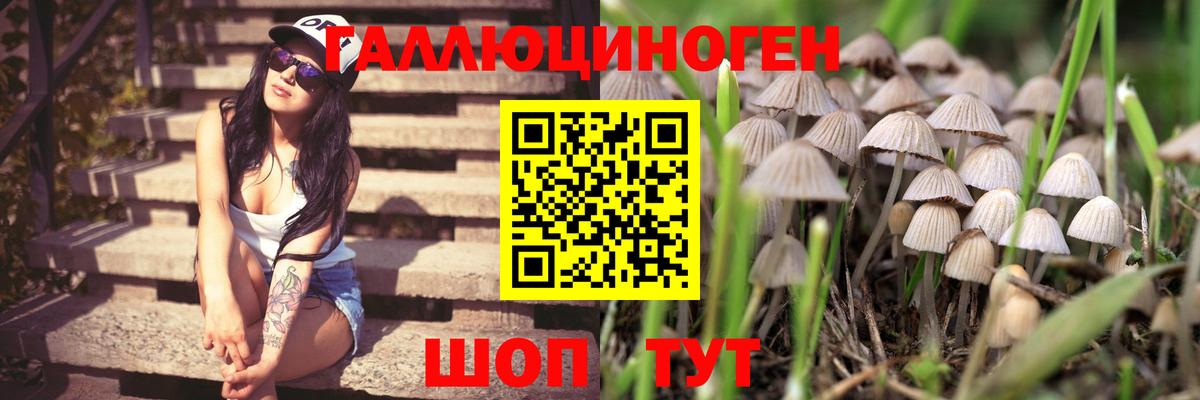 Реж  Галлюциногенные грибы ЛСД  Вход с VPN  Галлюциногенные грибы Psilocybe 